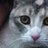SassyAssKat's profile image