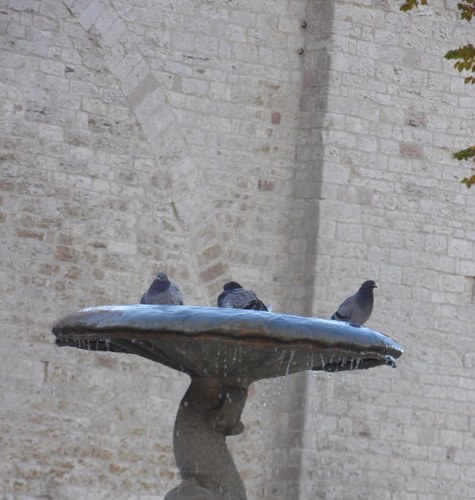 Revjennig's profile picture. 