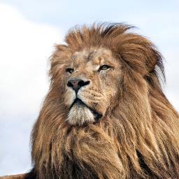 CEOHOUSE's profile picture. CEOHOUSE