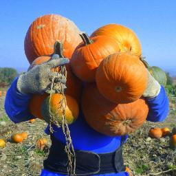 Ithaca's Orchard Playground ~ Upick Fruits & Veggies ~ Open 6 Days a Week in Season ~ Closed Mondays