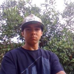 maciosiqueira's profile picture. 