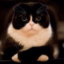 Eric Moeller - @dasbutthead - Twitter