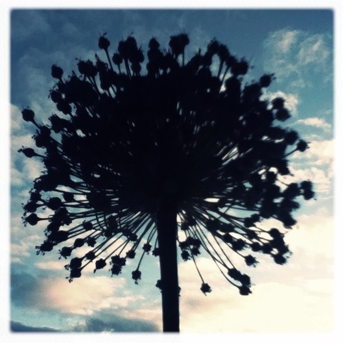 GabrielFFisher's profile picture. Vinyl searcher, proud dad, co-founder of 00Sebon Sounds, occasional DJ, swimmer and lover of aesthetic niceties...