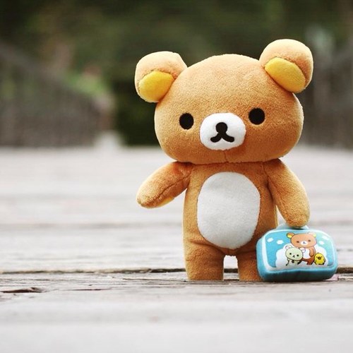 LostFloww's profile picture. 16 An Welsh. The home of witty banter.