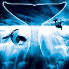 Love God...Love Family ...Love Life & Love SeaWorld and Shamu!