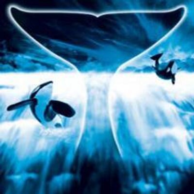 SeaWorldLVR's profile image