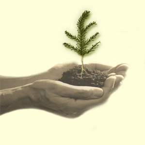 VCblueprint's profile picture. 