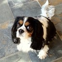 Evan Fuller - @EvanFullerevan - Twitter