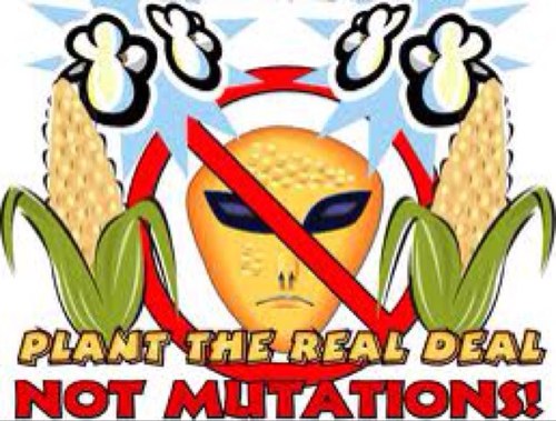 NoCTGMOs's profile picture. When enough of Connecticut comes aware to the dangers of GMOs we will create a petition for labels identifying GE goods. together we can be a #CANCERFREECT