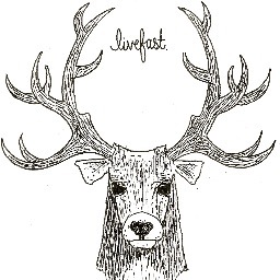 livefastapparel's profile picture. Fresh streetwear brand. Est. 2013