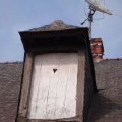 dealingingood's profile picture. 