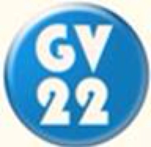 asesoriagv22's profile picture. 