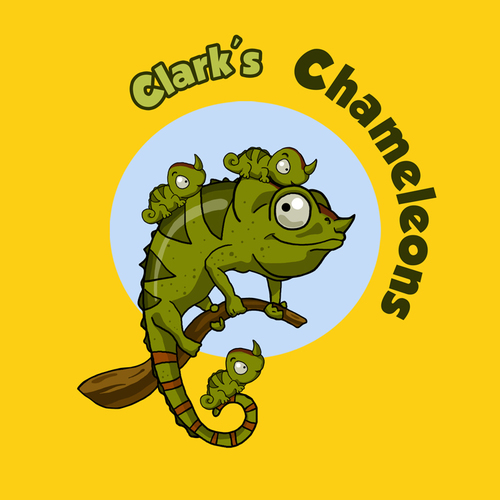 UAsecondgrade's profile picture. Second grade students at University Academy. Check here for updates. Also, check out our photos of recent classroom events and lessons!