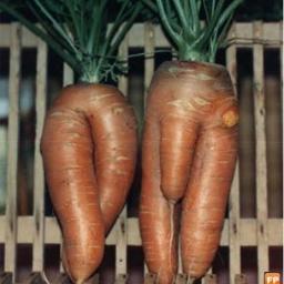 your eyes are like spanners, everytime I look into them my nuts tighten