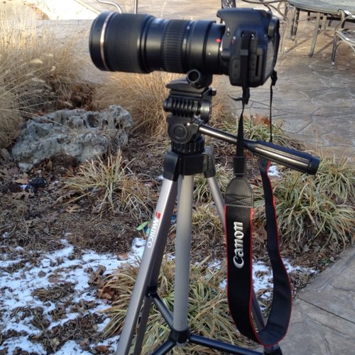 Vimeo films coming soon. Spring 2013