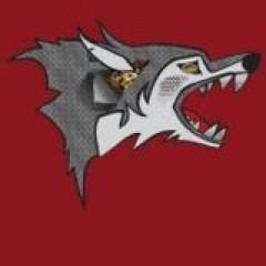 loups3981's profile picture. Équipe de Robotique FIRST gagnante de la finale Montréalaise 2012 avec l'équipe 3990 Regina-Assumpta et 2590 Nemesis.