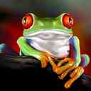 Barb Hale - @barb_hale - Twitter