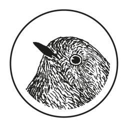 GOLD_KEHL_CHEN's profile picture. schöner zwitschern