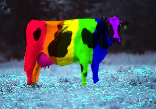Twitter account for all Paxists. We believe in the Rainbow Cow and that everyone should be treated equally with love and respect. Peace.