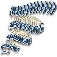 Colorado Khaos (@coloradokhaos) 's Twitter Profile Photo