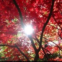 Basma Khan - @basma_khan - Twitter