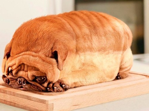 tspadina's profile picture. 