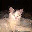 Peggy Gregg - @peggy81672 - Twitter