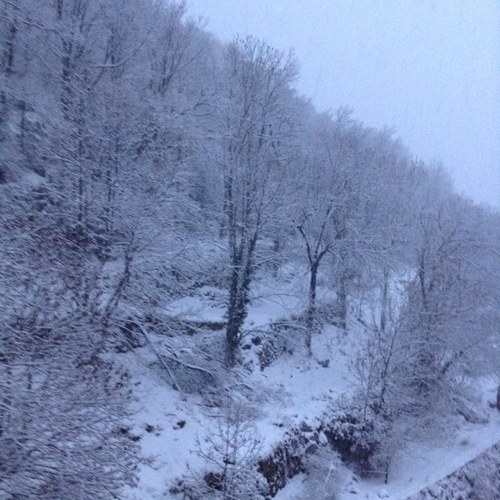 Javax66's profile picture. 