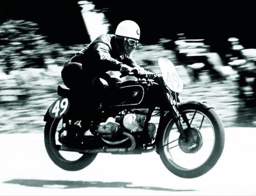 mreillymd's profile picture. 