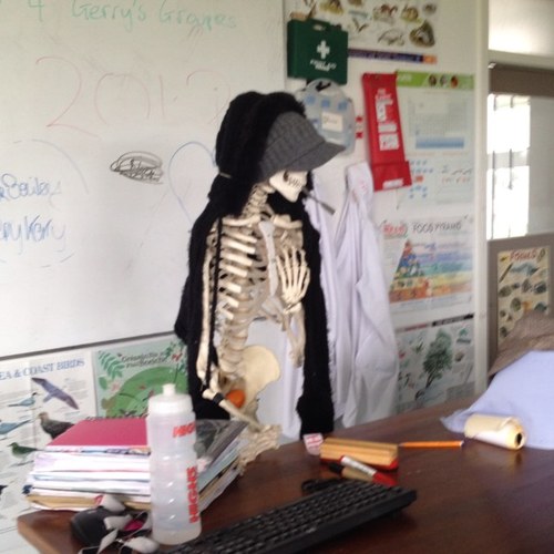 Teacher of Biology, Science and Maths at Meánscoil Iognáid Rís(Naas CBS).