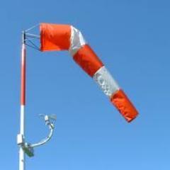 wsill_science's profile picture. 