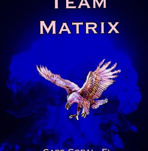 teammatrix2's profile picture. 
