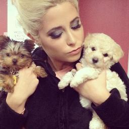 WorldCFrey's profile picture. I'm warrior. I'm madly in love with @ CeCeMissXtotheO. CeCe is my beautiful goddess, princess ... I love it too.