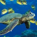 James Regalado - @sly_lit - Twitter