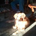 Susan Howarth - @Howarth05 - Twitter