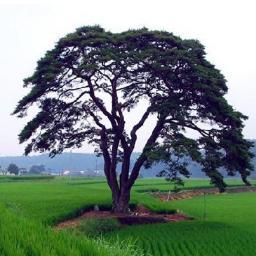 이제 사는 법을 알겠어~