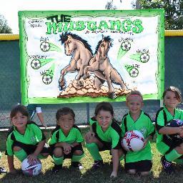 ayso41ln's profile picture. Sharing AYSO soccer, health, and fun with our youth, parents, volunteers, and Laguna Niguel, CA community for 40 years!