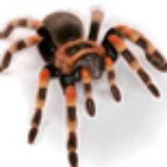 DNSCrawler's profile picture. We tweet a lot about #dns, #IPv6, #cloudcomputing and other #Internet technologies.