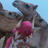 rja00y000's profile image