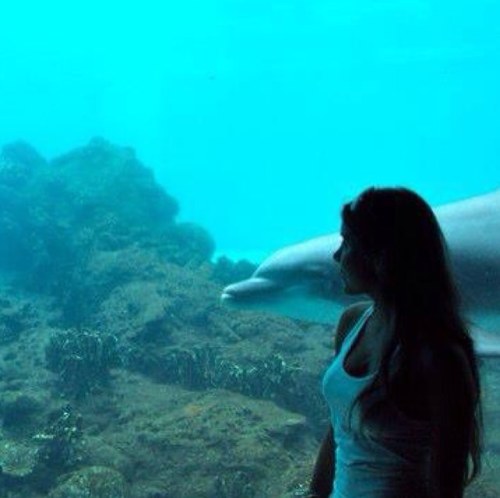 vanessalondono9's profile picture. Estudiante de Mercadeo Internacional y Publicidad, y Administracion de empresas