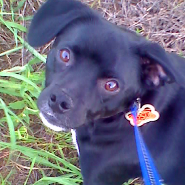 mrbob's profile picture. Alumni, employee, fan of Oklahoma State University