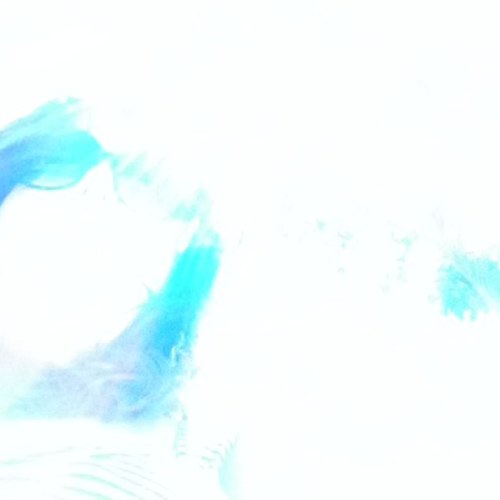 aammeehh's profile picture. 