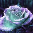 Kathy Bender - @kathybender819 - Twitter