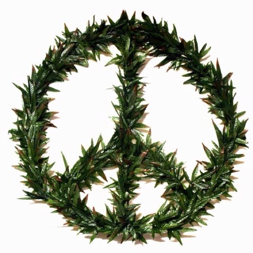 I tweet about weed cause I like weed. Thanks. #OneLove I follow back!!

Follow your happy stoner on Instagram http://t.co/oovWhDKZ