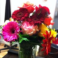 Catherine Hajek (@cassiehajek) 's Twitter Profile