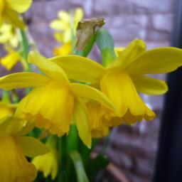 age555's profile picture. a judoka,Aikido,a yacht,a piano,an abacus,tennis,soccer,softball.swimming,golf,skiing,skating,billiards,bowling.