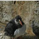 kevin jacques - @kevinjacques1 - Twitter