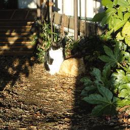 keita1600aqua's profile picture. 洋楽／洋画好き　