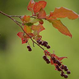 yuki61850093's profile picture. 