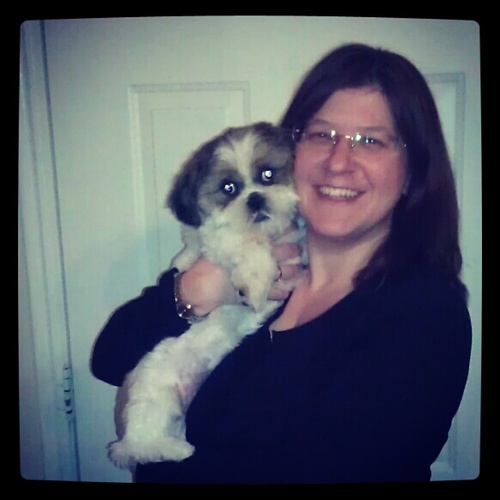 mellc1972's profile picture. conservative, Christian, Republican